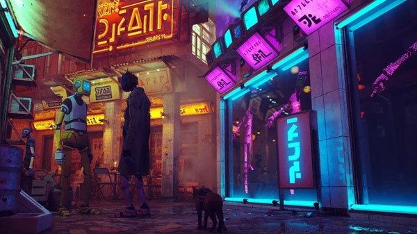 stray